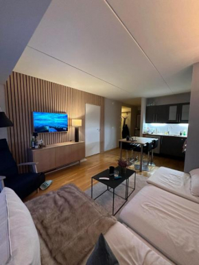 Central Apartment perfect for people visiting Stavanger!